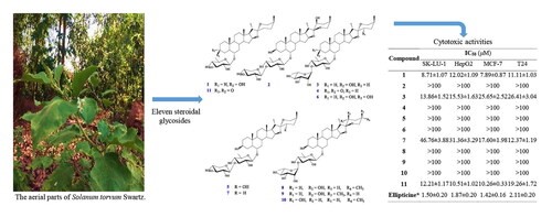 Hoạt tính gây độc tế bào của các hợp chất glycoside steroid phân lập được từ các bộ phận trên mặt đất của cây Cà dại hoa trắng thu hái tại Thừa Thiên Huế, Việt Nam